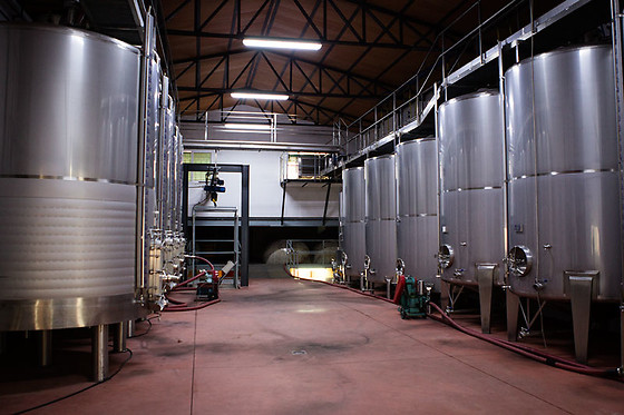 BODEGAS Y VIÑEDOS PEDRO GARCIA - photo 3