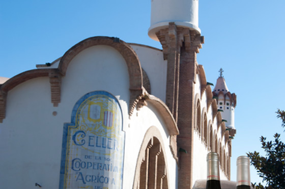 CELLER COOPERATIU GANDESA - photo 3