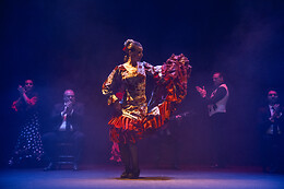 TEATRO FLAMENCO SEVILLA