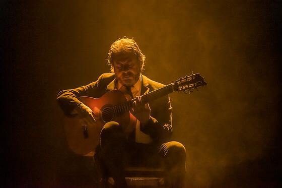 TEATRO FLAMENCO SEVILLA - photo 3