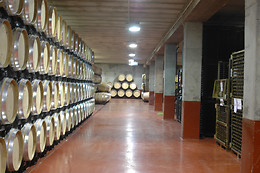 BODEGA DEL ABAD