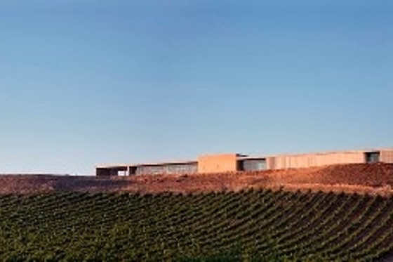 BODEGAS FINCA MONTEPEDROSO - photo 4
