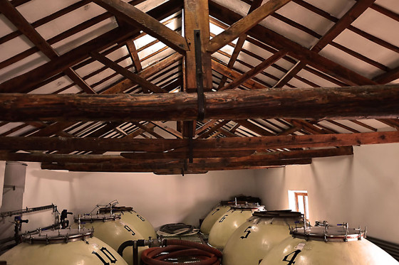 BODEGA CAMPOS DE DULCINEA - photo 4