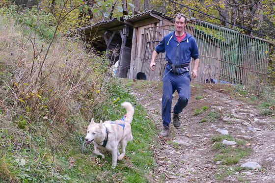 Elevage canin du clos de la vallée blanche - photo 5