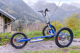 Elevage canin du clos de la vallée blanche