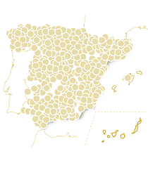 Mil & una noches para soñar