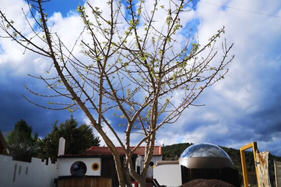 LA CASA BLANCA - photo 8