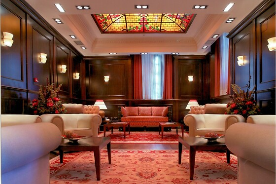 HOTEL PALACIO DE LA MAGDALENA - photo 16