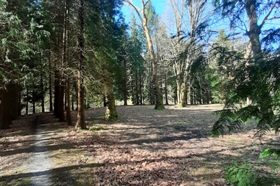 BALNEARIO CASA PALLOTTI - photo 17