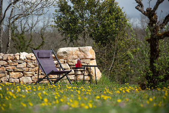Domaine de Bel-Air - photo 17