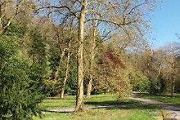 BALNEARIO CASA PALLOTTI