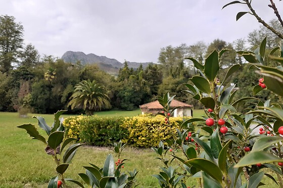 BALNEARIO CASA PALLOTTI - photo 31