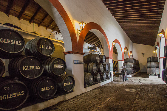 BODEGAS IGLESIAS - photo 6