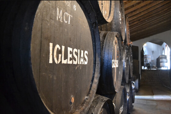 BODEGAS IGLESIAS - photo 1