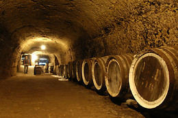 BODEGAS MONOVAR