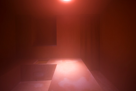 Wu Wei - photo 1
