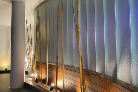APARTHOTEL SIENTE BOI & SPA - photo 29