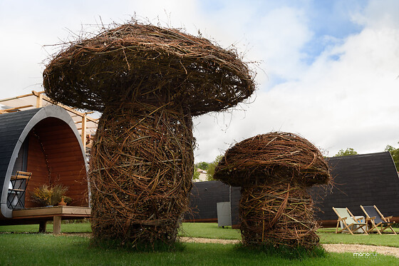 Glamping Hills - photo 4