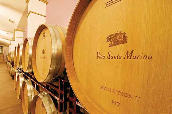 BODEGA VALDEALTO - photo 0