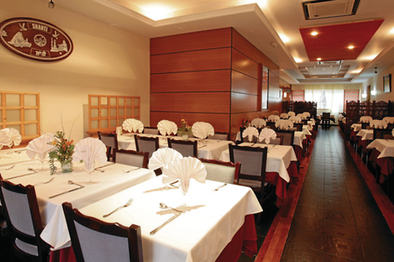 INDIAN RESTAURANT SHANTI - photo 3