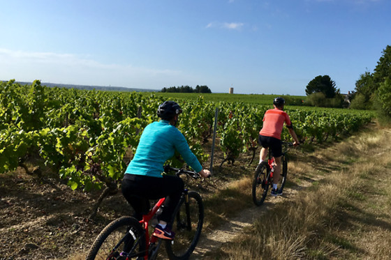SENSATION VTT - photo 5