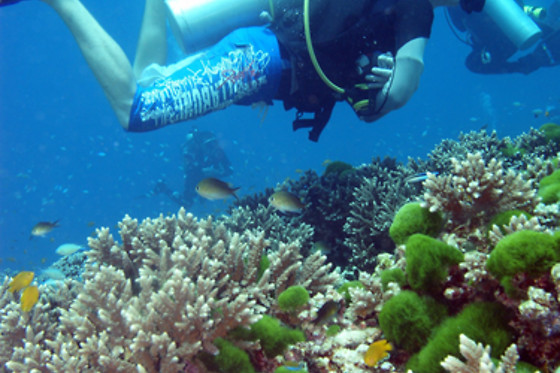 TOSSASUB DIVING CENTER - photo 12