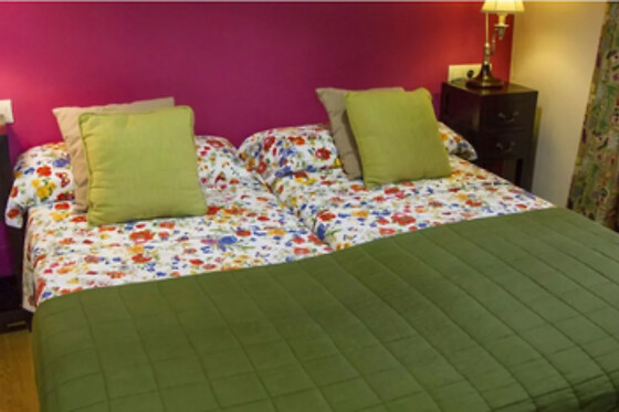 HOTEL O REMANSO DOS PATOS - photo 13