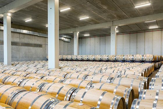 BODEGAS BERONIA - photo 12