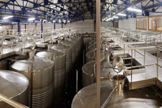 BODEGA SAN ESTEBAN - photo 3