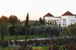 BODEGAS Y VIÑEDOS CASA DEL VALLE