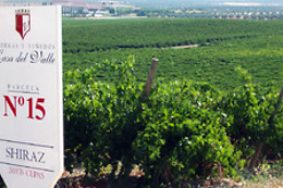 BODEGAS Y VIÑEDOS CASA DEL VALLE