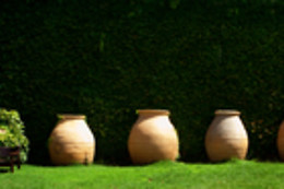 BODEGAS Y VIÑEDOS CASA DEL VALLE