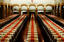 BODEGAS Y VIÑEDOS CASA DEL VALLE