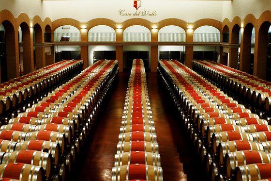 BODEGAS Y VIÑEDOS CASA DEL VALLE - photo 15