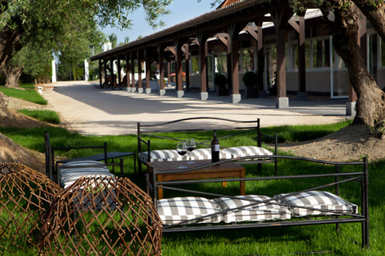 BODEGAS Y VIÑEDOS CASA DEL VALLE - photo 1