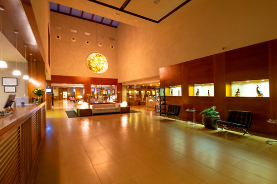 HOTEL SPA ATTICA 21 VILALBA - photo 3