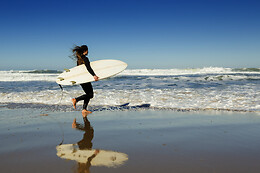 Inside Surf School
