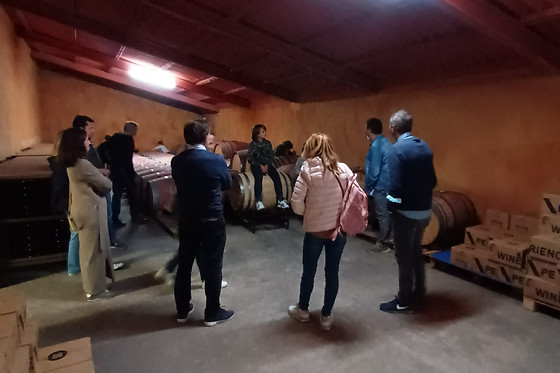 BODEGAS PALACIO DE LERMA - photo 5