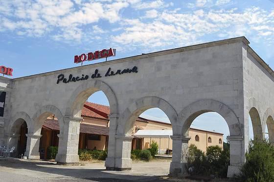 BODEGAS PALACIO DE LERMA - photo 2