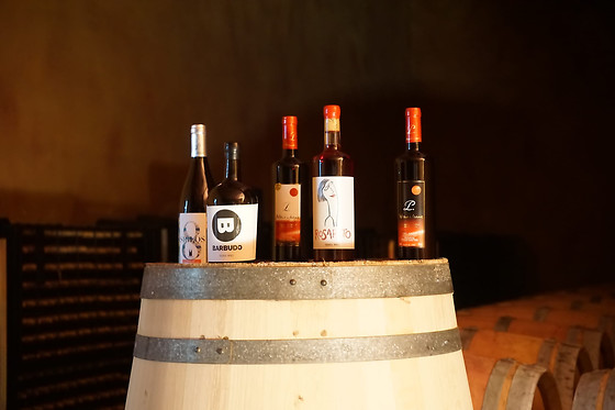 BODEGAS PALACIO DE LERMA - photo 1