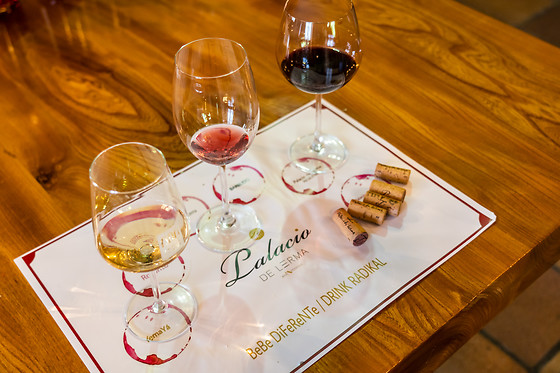 BODEGAS PALACIO DE LERMA - photo 6