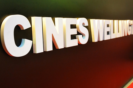 Cinéma Wellington - photo 9