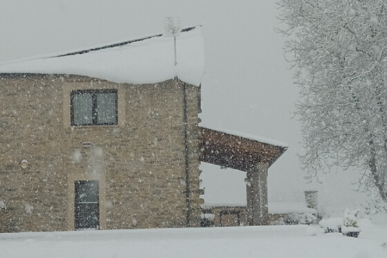 CASA OS PRADOS DA ALBELA - photo 14