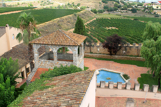 BODEGAS Y CAVAS JAUME SERRA - photo 5