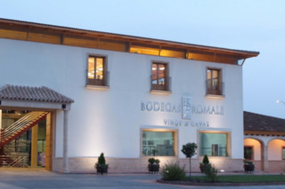 BODEGAS ROMALE - photo 5
