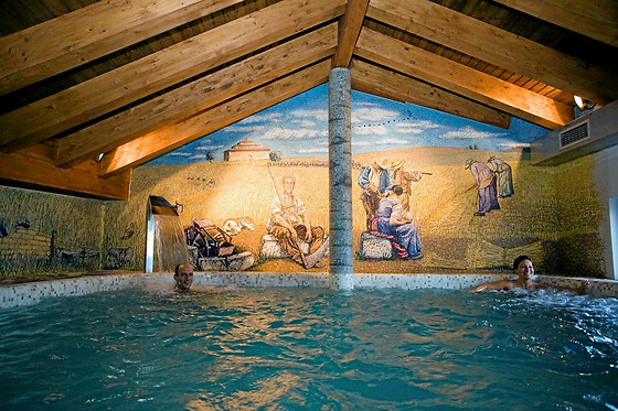 POSADA LOS CONDESTABLES HOTEL & SPA - photo 26