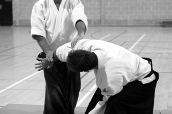 Aïkido Shugyo Dojo Brabant Wallon - photo 11