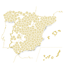 Bodegas y tapas