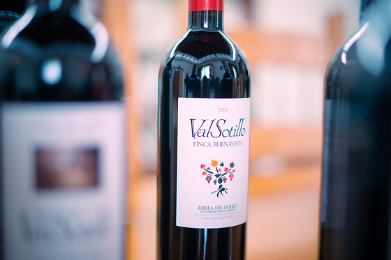 BODEGAS ISMAEL ARROYO - VALSOTILLO - photo 1
