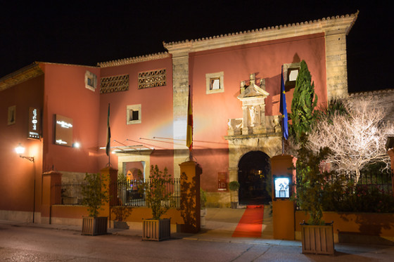 HOTEL IZÁN TRUJILLO - photo 7